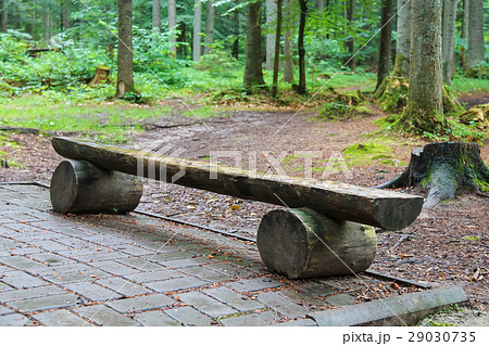 Wooden bench made of tree trunks in city park Wooden bench made of tree trunks in city park 29030735