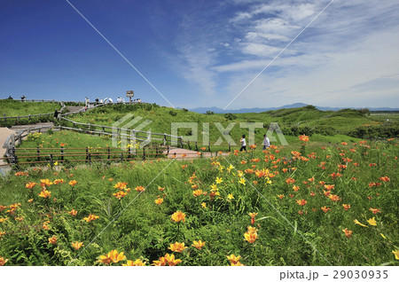 小清水原生花園 29030935