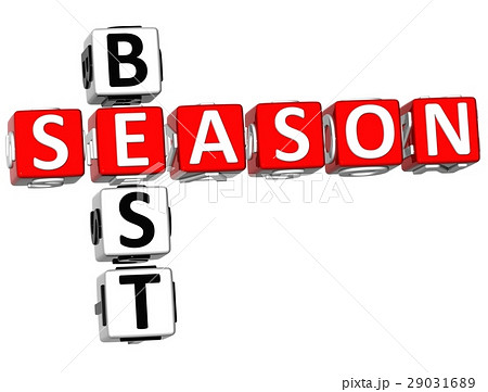 3D best Season Crossword 29031689