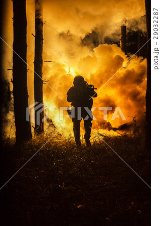 War in the forest War in the forest 29032287