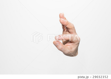 男性の右手 29032352