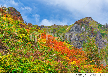 山の紅葉 29033197