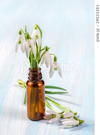 Bunch of snowdrops on the wooden table 29033361