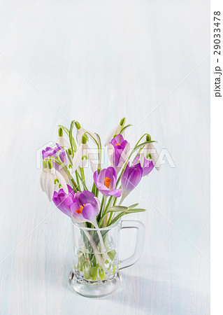 Bouquet of snowdrops and crocuses Bouquet of snowdrops and crocuses 29033478