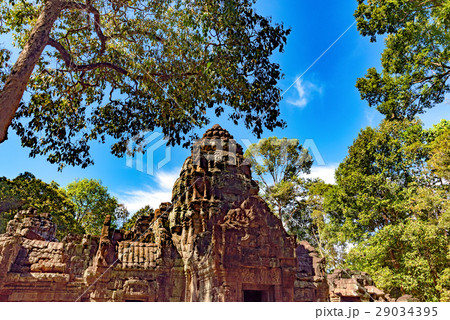 カンボジア　シェムリアップ　遺跡群 29034395
