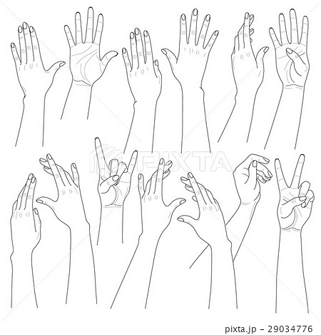 Woman hands set 29034776