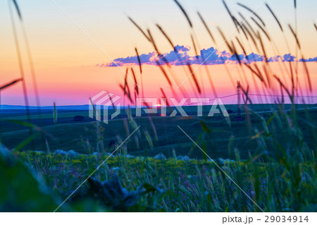 The evening sky on fields 29034914