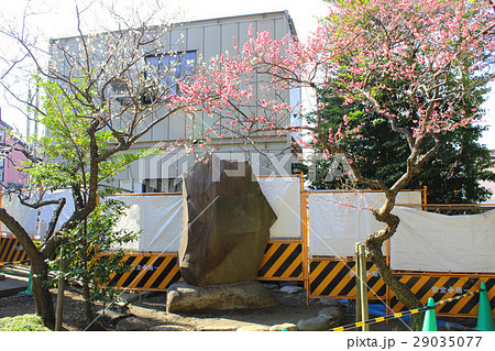 井出の沢古戦場 井出の沢古戦場 29035077