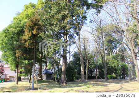 井出の沢古戦場 29035078