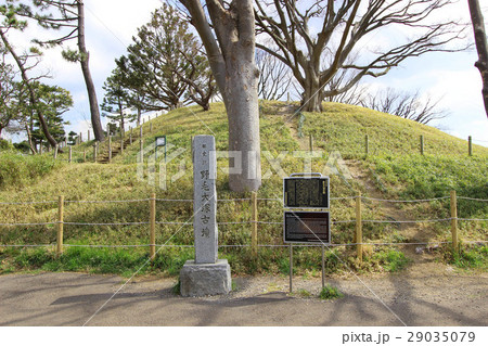 野毛大塚古墳 29035079