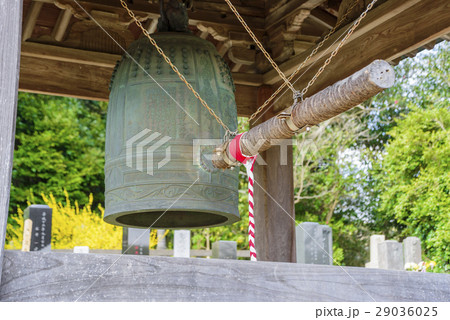 葉山　新善光寺　梵鐘 29036025