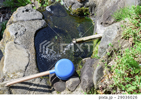 湧き水 手水舎 湧き水 手水舎 29036026