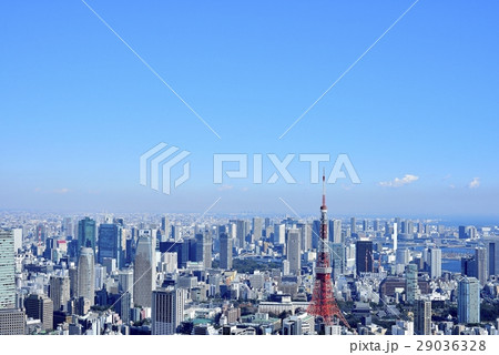 東京　都市風景　東京タワー 29036328