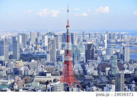 東京 都市風景 東京タワー 東京 都市風景 東京タワー 29036371