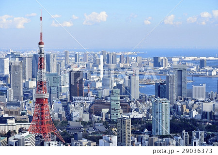 東京 都市風景 東京タワー 東京 都市風景 東京タワー 29036373