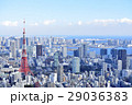 東京　都市風景　東京タワー 29036383