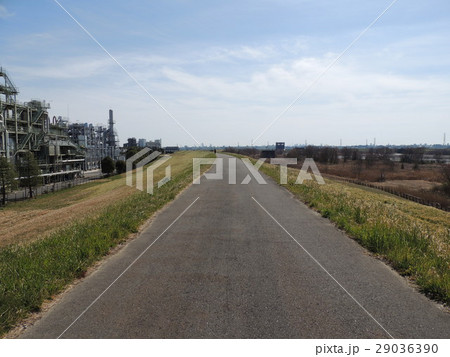 荒川土手遊歩道 荒川土手遊歩道 29036390