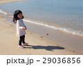 砂浜で遊ぼう！ 29036856