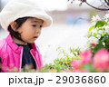 お花キレイ♪ 29036860