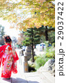 七五三♪ 29037422