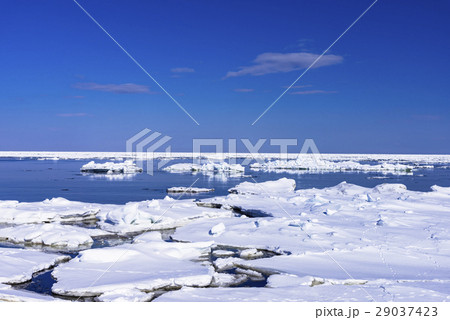 オホーツク海の流氷 29037423