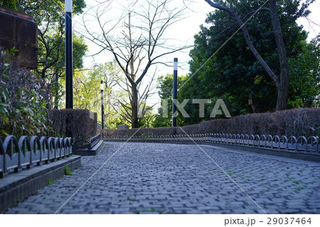 静かな小道 29037464