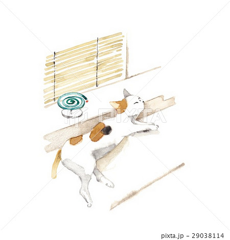 夏猫、すだれ、蚊取線香 29038114