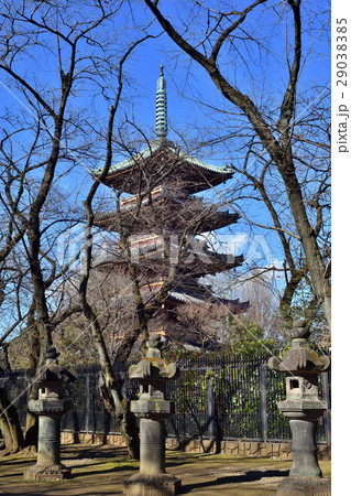 旧寛永寺五重塔 旧寛永寺五重塔 29038385