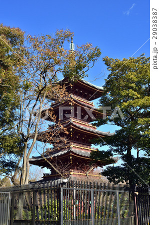 旧寛永寺五重塔 29038387