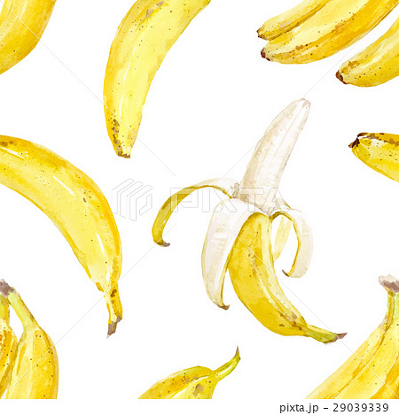 Watercolor Vector Banana Patternのイラスト素材