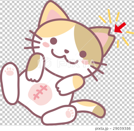 Cat sterilization surgery Cat sterilization surgery 29039386