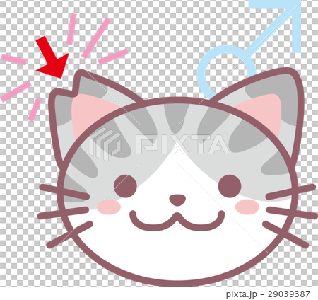 さくら猫 29039387