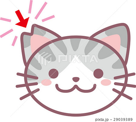 さくら猫 さくら猫 29039389