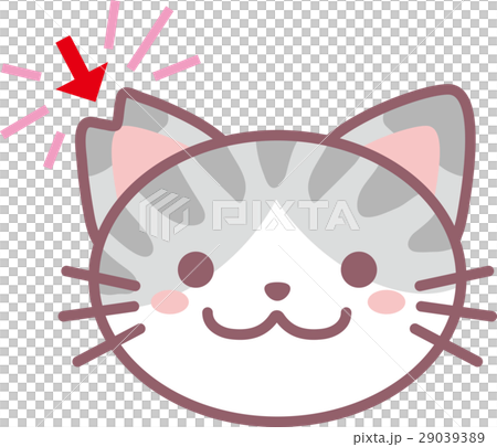 さくら猫 さくら猫 29039389