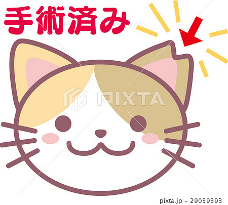 さくら猫 29039393