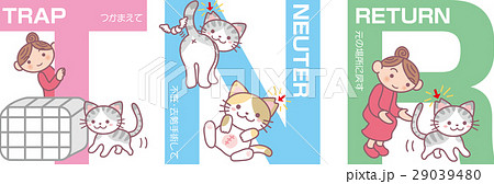 TNR TNR 29039480