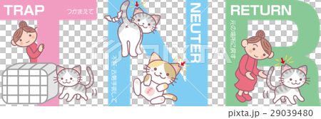 TNR, vector, vectors 29039480