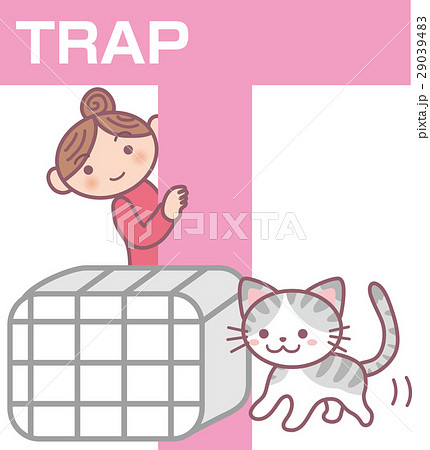 TNR（T) 29039483