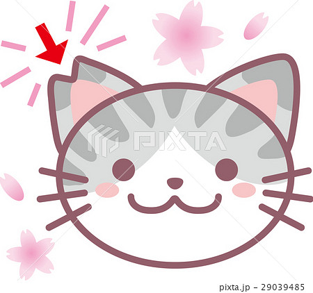 TNR TNR 29039485