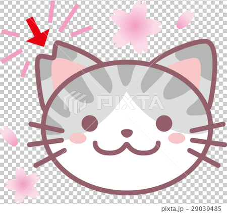 TNR TNR 29039485