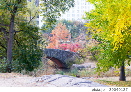 Gapstow bridge in a colorfull fall morning 29040127