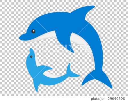 Dolphin Dolphin 29040808