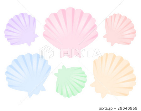 貝殻 貝殻 29040969