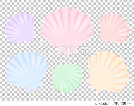 貝殻 貝殻 29040969