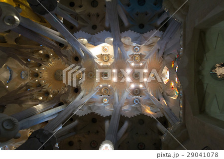 Walking inside Sagrada Familia in Barcelona 29041078
