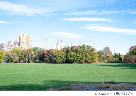 Empty Sheep Meadow during a morning in the fall Empty Sheep Meadow during a morning in the fall 29041277