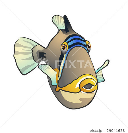 Picasso triggerfish. fish isolated on white 29041628