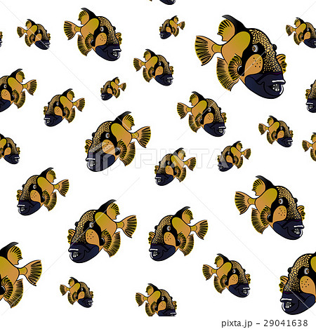 Titan triggerfish pattern, Balistoides viridescens Titan triggerfish pattern, Balistoides viridescens 29041638