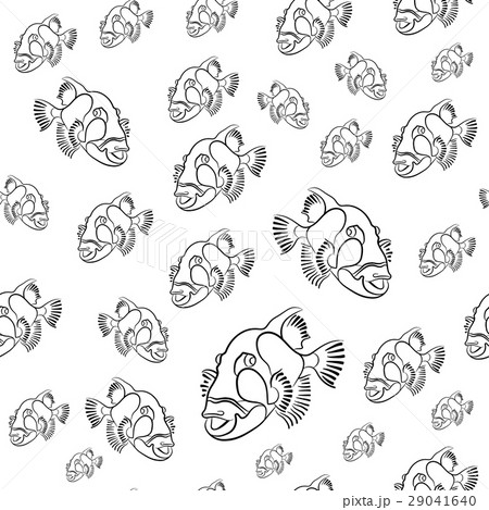 Titan triggerfish pattern, Balistoides viridescens Titan triggerfish pattern, Balistoides viridescens 29041640