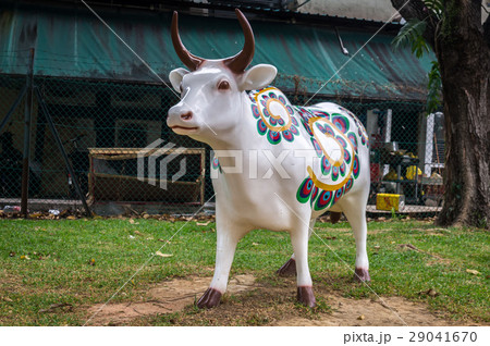 A sacred Hindu cow statue in Little India A sacred Hindu cow statue in Little India 29041670